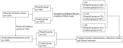 Effects and safety of propofol intravenous anesthesia in transvaginal oocyte retrieval on outcomes of in vitro fertilization and embryo transplantation